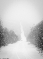 ..дороги и снегопады 2