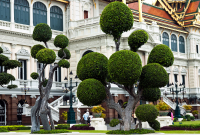 королевский дворец