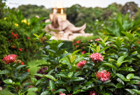 летний день