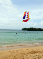 Летучий голландец