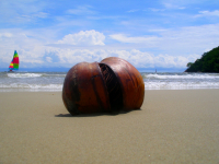 кокосовый рай