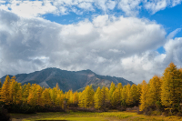 По пути к короне