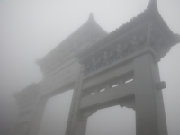 ...Silent Hong Kong...