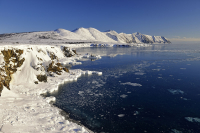 В районе бухты "Сиглан"