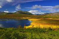 Заповедные края