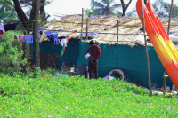 Горячий индуский перец