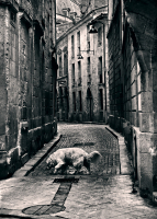 Остановка времени