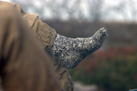 встали на ночлег