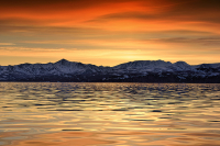 Полуостров Кони