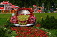 Машина из цветов