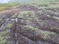 Дорога на бухту светлая