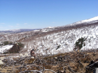 закамуфлировался