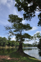 Утреннее настроение