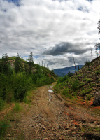 Дорога в прошлое