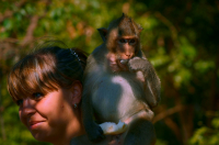 девушка с макакой