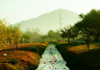 утро Камбоджи