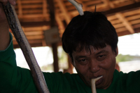 укротитель змей