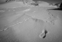 Одной тропой