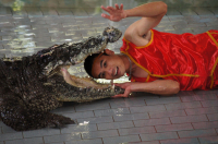 бесстрашный