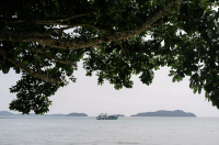 Блог — Таиланд