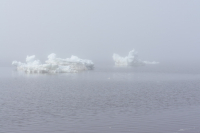 уходят в вечность