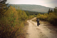 Жижзь моя дорога...