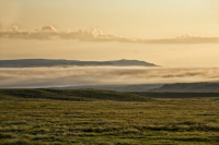 Плато Укок. Рассвет