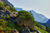 Долина Чулумшан - 1