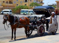 такси заказывали?