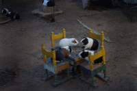 обед -Тунис 2012