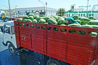 в продолжение арбузной темы -Тунис 2012