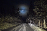 К дебрям сказочной тайги...