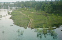 Дорога в никуда