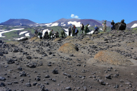 Перед восхождением.