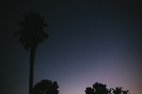 Калифорникейшн