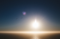 а куры летят высоко