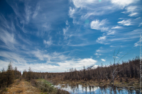 бывшая железная дорога