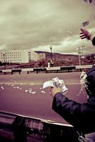 Свадебное сумасшествие