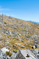 Микроклимат, сопка