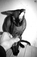 Не стесняйся