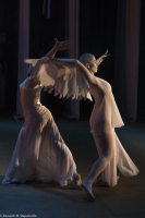 Звездопад 2015