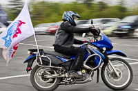 Полярные Совы