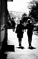 Летние силуэты