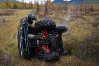 Хозяин тайги 2011