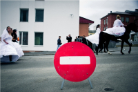 котам нельзя, с котами нельзя, котами нельзя