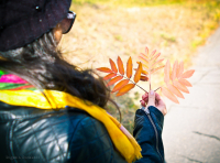 краски осени