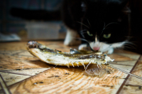 кушать подано