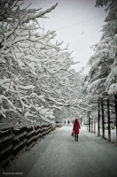 Девочка в красном