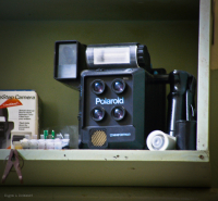 Polaroid