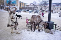 олешка однако